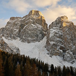 Pandoro e zucchero a velo