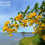 Jacksonville &mdash; Fulton Landing