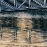 Escape the small talk for the silence of the water