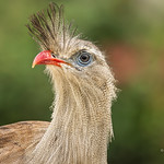 Ready for the weekend?