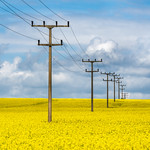 yellow power - Gelbe Energie