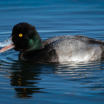 Just Be Happy&hellip;