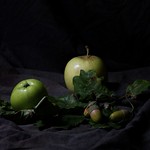 Apples and acorns