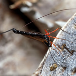 Exceptional Reach, Pt. 2 - _TNY_4105