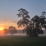 Septembermorgen bei Pulsnitz