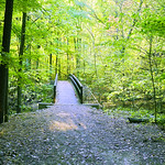 039385a- Early Morning Hike In Aman Park