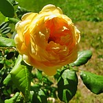 Spring Can Really Hang you up the Most