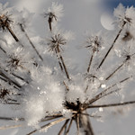 Gle&eth;ileg j&oacute;l