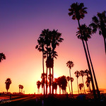 Venice Sunset - Los Angeles, California