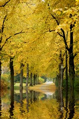 Autumn in the Park II