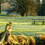 Canal Side Sculpture