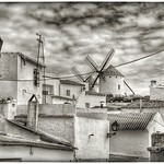 Postales manchegas ( campo de criptana ).