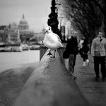 MISS A RHYTHYM, LOSE A BEAT