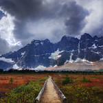 Gateway To The Ramparts, Jasper National Park