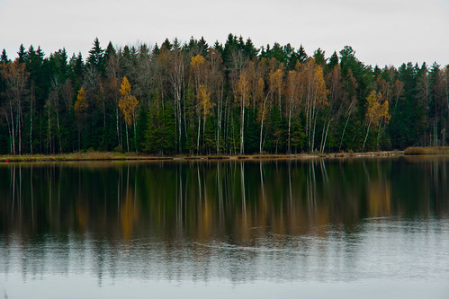 Arvydų tvenkiniai rudenį