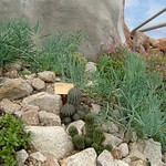 Eden Project 07-03-2005