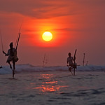 Stilt Fishing, Sri Lanka