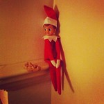 Ralphie likes cookies:-)