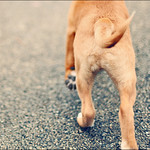 Born to be King [*EXPLORE*]