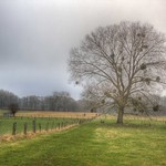 Porta Westfalica January Dawn