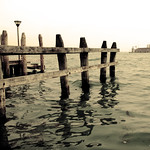 桩 venezia 桩 venezia