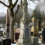 Finding peace beneath the shade of a tree.