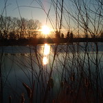 Morning Reflections Series