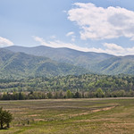 Cade's Cove