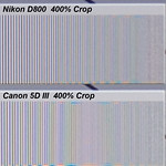 Nikon D800 vs Canon 5dIII Moire and Resolution Capabilities.