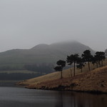 Misty Aldermans Hill