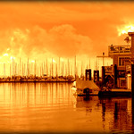 Golden Day Near the Gate