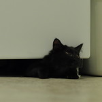 This can't be good for the stitches