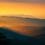 There's Gold in Them Hills