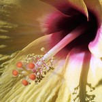 The devil is in the detail