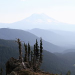 Mt Adams : Explored Jan 11, 2012 # 47 fluidr