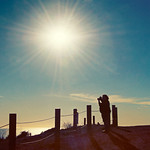 Happy Fence Friday {Photographer Flare} Edition!