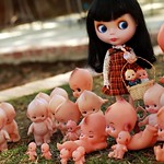 110/365 ~ Kewpies! (Explored)