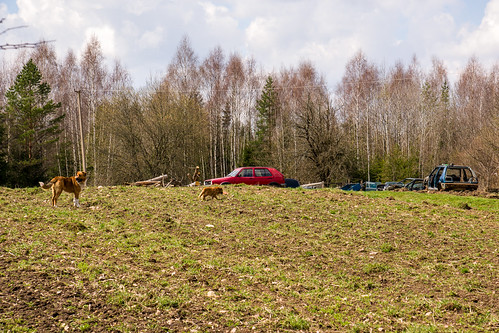 "Golf'ų sodybos" sargai