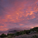 Cape Bridgewater sunset