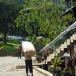 Mackwoods Labookellie Tea Centre