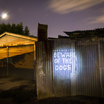 Beware of the Dogs - Remastered