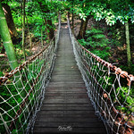 Hanging Bridge