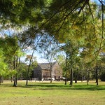 Saw Mill through the Trees