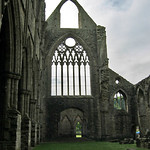 Tintern