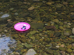 Mum's turn on the raft