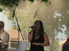 Regensburg Brückenfest 2006 Event Konzert Donau Disko Zap Kneitinger Ringlstetter Steinerne Brücke Thundorferstrasse