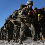 Struttin' in the Sand