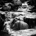 Bosg&aring;rdsfallen...Rush