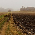 dirt road diaries....