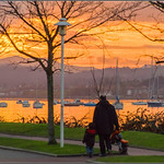 Derniers bonheurs du jour